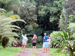 Tour Entabeni Gardens, Maui, Hawaii