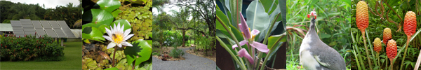 Entabeni Gardens, Maui, Hawaii