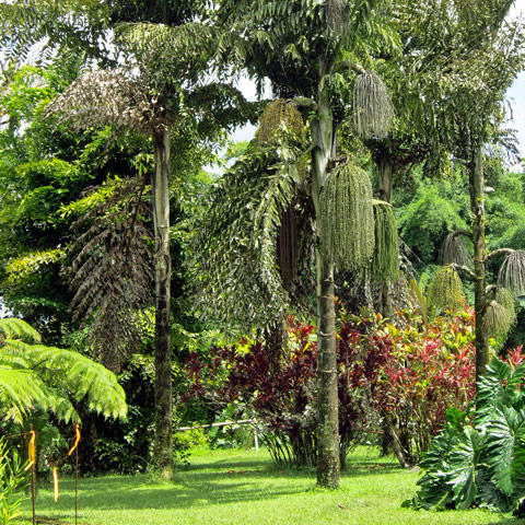 Entabeni Gardens