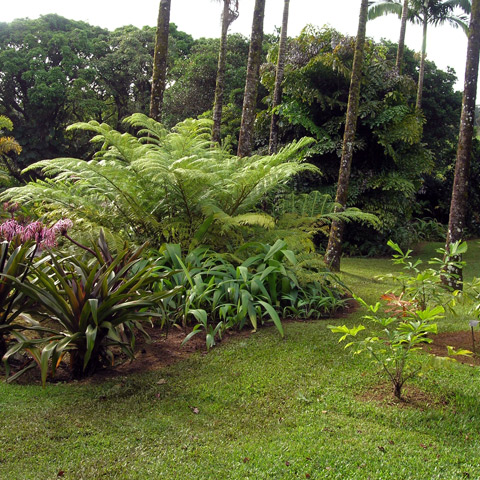 Entabeni Gardens